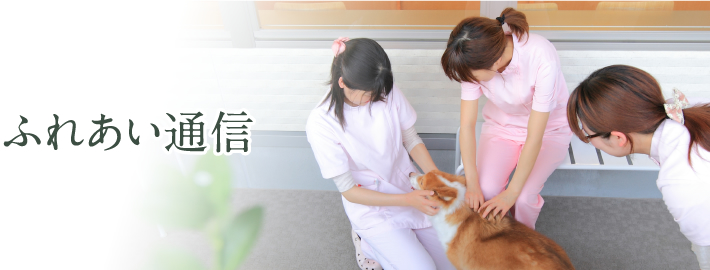 ふれあい通信