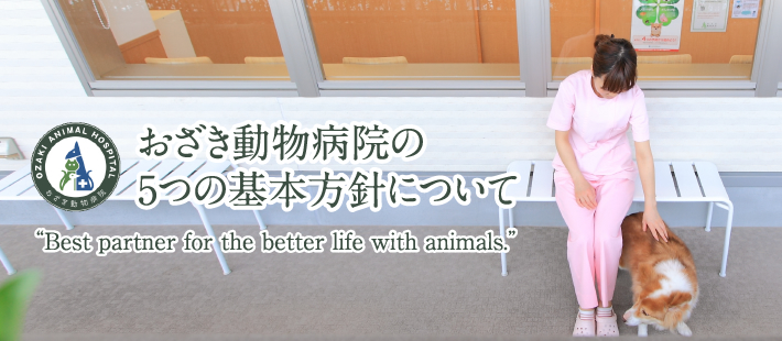 おざき動物病院の5つの基本方針について“Best partner for the better life with animals.”