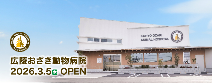 広陵おざき動物病院