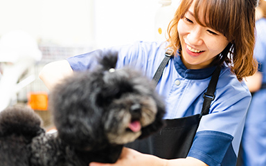 吉仲彩瑛さん
